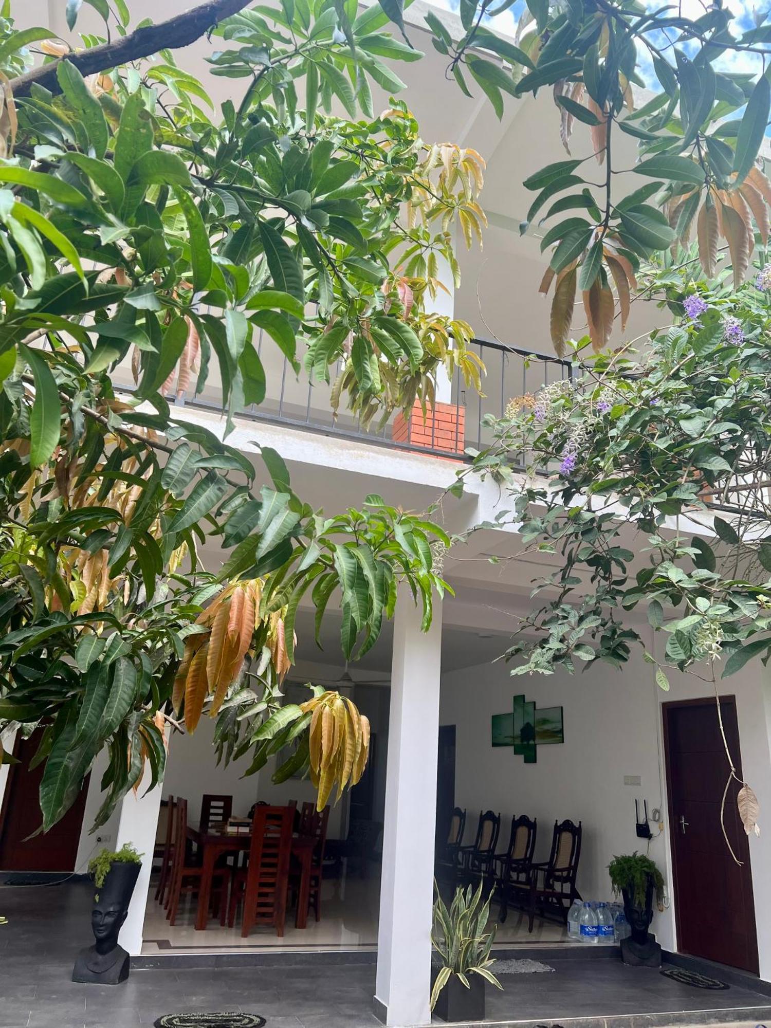 Vogel Nest Bed & Breakfast Midigama Exterior photo